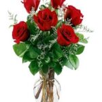 6 Red roses