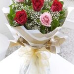 Six Stolen Kisses - Red and Pink