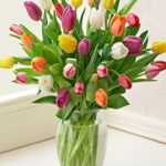 30 Radiant Tulips